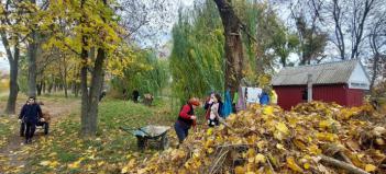 Осіння толока в селі Козаровичі