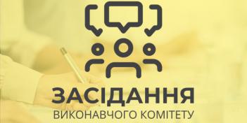 14 чергове засідання виконавчого комітету
