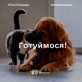 Як зменшити теплові витрати в домівках та як діяти, якщо зникне опалення