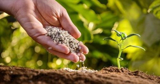 Комплексна програма розвитку сільського господарства та сільських територій Київської області на 2024-2027 роки (нова редакція)