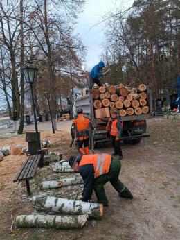 «Новини наших старост» з населених пунктів Димерської громади за першу половину лютого місяця