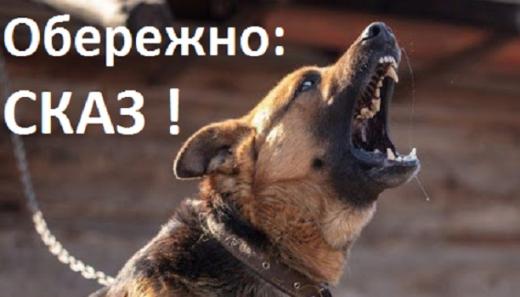 Пам`ятка для населення: Що необхідно знати про сказ