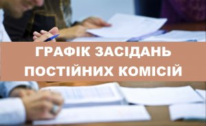 ПЛАН ПІДГОТОВКИ ТА ПОРЯДОК ДЕННИЙ  ЗАСІДАННЯ ПОСТІЙНОЇ КОМІСІЇ З ПИТАНЬ РЕГЛАМЕНТУ, ДЕПУТАТСЬКОЇ ДІЯЛЬНОСТІ ТА ЕТИКИ, ПРАВ ЛЮДИНИ, ЗАКОННОСТІ, ПРАВОПОРЯДКУ, ВЗАЄМОДІЇ ІЗ ПРАВООХОРОННИМИ ОРГАНАМИ та З ГУМАНІТАРНИХ ПИТАНЬ