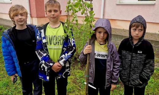 Затишок і охайність – запорука успішної Громади