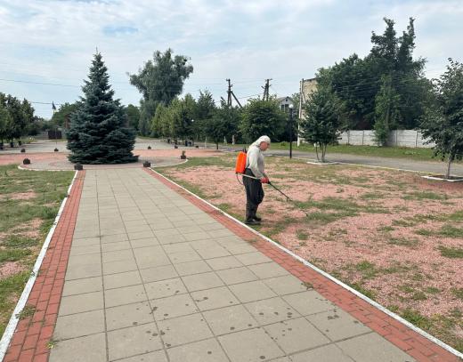 «Новини наших старост» з населених пунктів Димерської селищної територіальної громади за першу половину поточного місяця