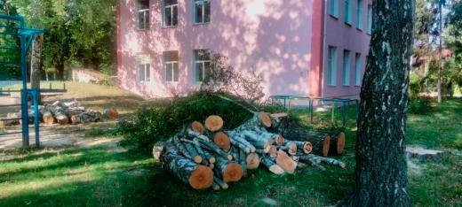 «Новини наших старост» з населених пунктів Димерської селищної територіальної громади за поточний тиждень