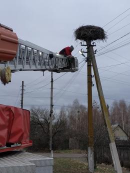 «Новини наших старост» з населених пунктів Димерської громади за минулий тиждень