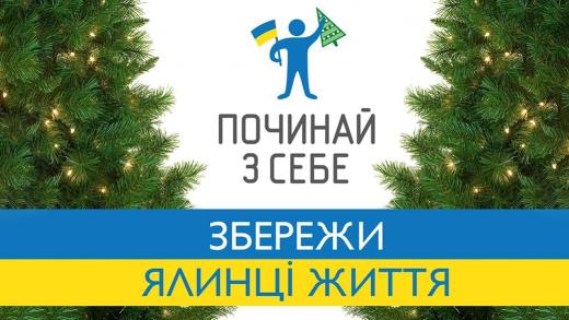 Вирубувати хвойні насадження громадянам категорично заборонено