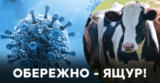 ГУ Держпродспоживслужби в Київській області попереджає