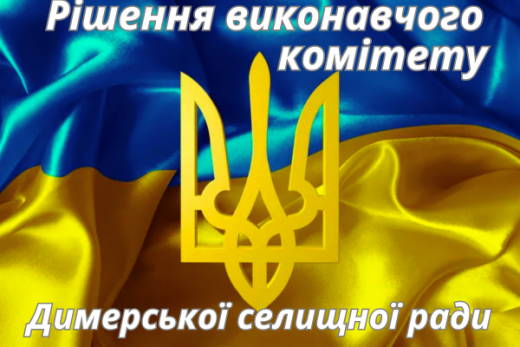 Двадцять перше чергове засідання виконавчого комітету Димерської селищної ради VIII скликання
