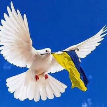Друга річниця визволення Димерської громади від окупації