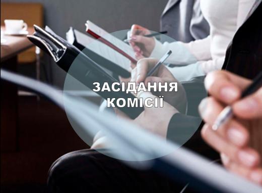 Відбудеться виїзне засідання постійної комісії Димерської селищної ради