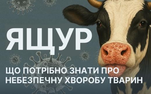 Що треба знати про ящур